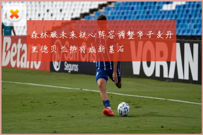 森林狼未来核心阵容调整华子麦丹里德贝兰热将成新基石